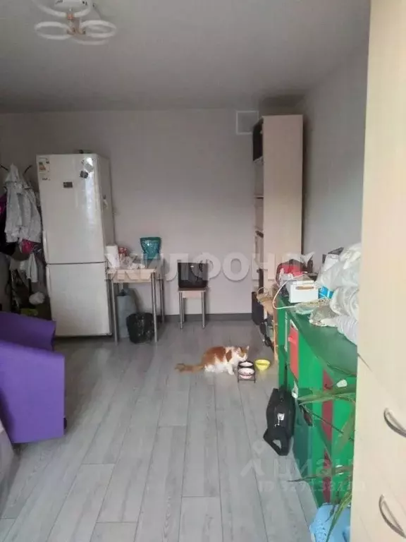 Комната Санкт-Петербург ул. Беринга, 32К2 (17.0 м) - Фото 1