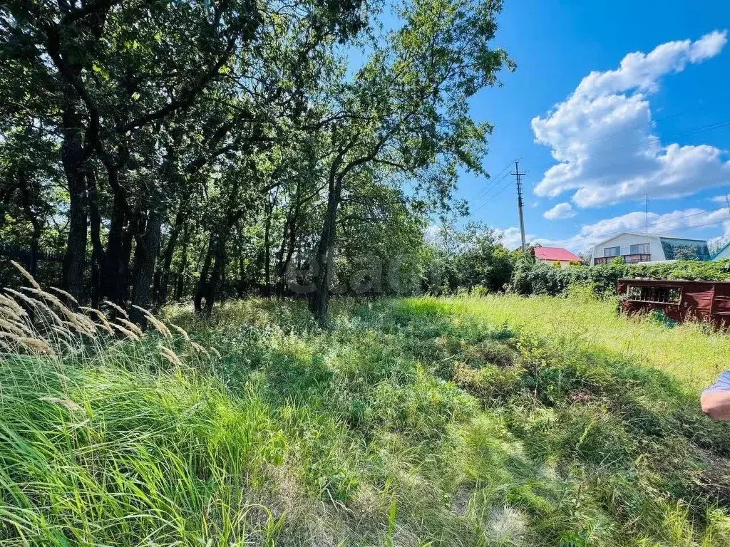 Участок в Саратовская область, Прогресс СНТ ул. Заречная (5.0 сот.) - Фото 1