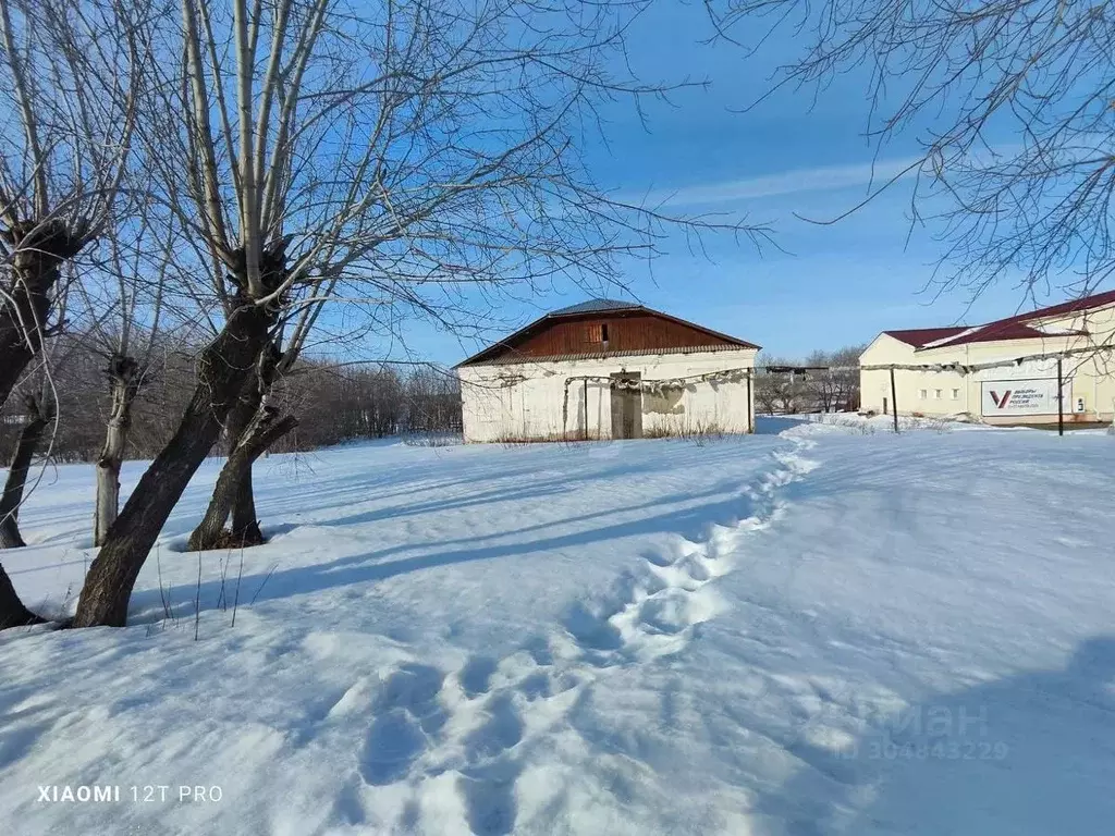 Помещение свободного назначения в Курганская область, Шадринский ... - Фото 0