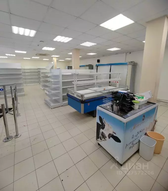 Помещение свободного назначения в Ярославская область, Ярославль ... - Фото 2