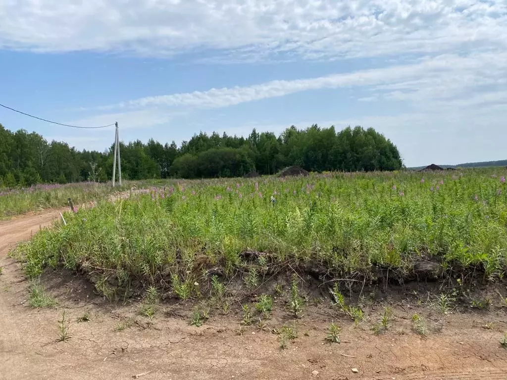 Участок в Свердловская область, Белоярский городской округ, д. Гусева, ...,  Купить земельный участок Гусева, Белоярский район, ID объекта - 20007529380