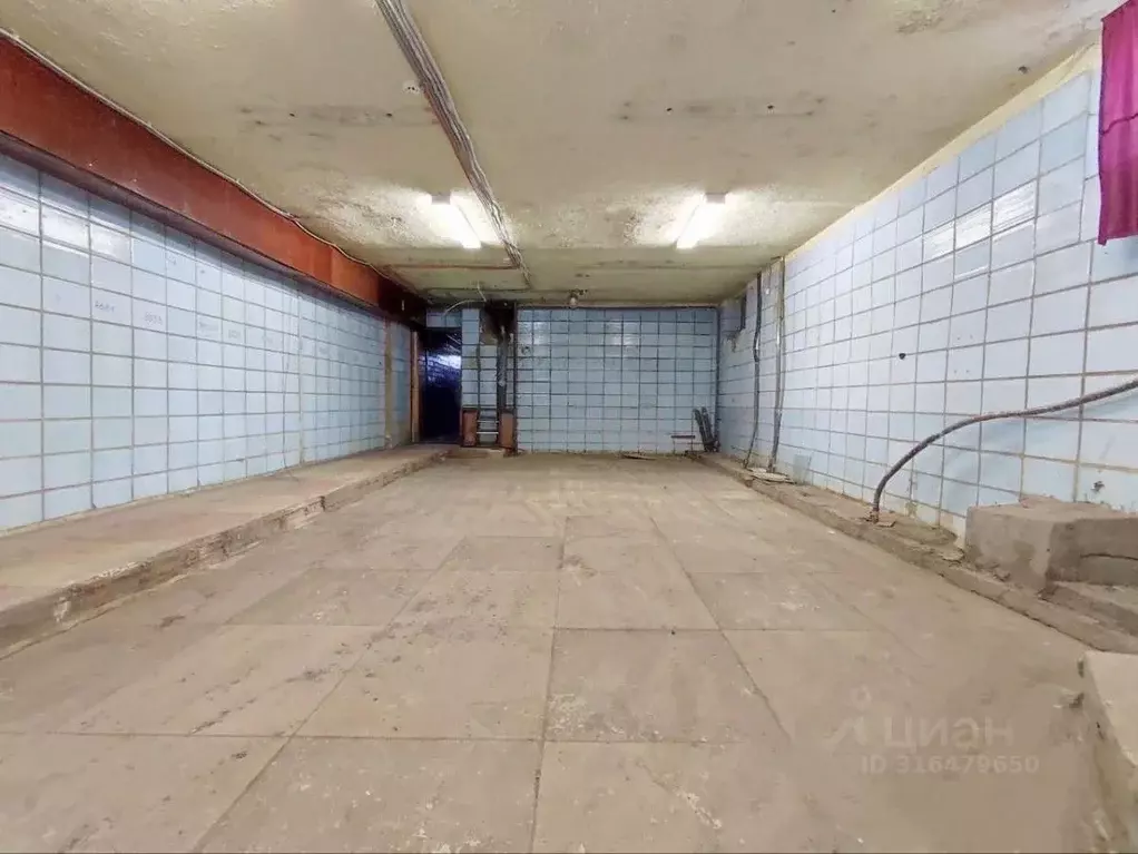 Склад в Саратовская область, Саратов просп. Имени 50 лет Октября, 124 ... - Фото 1