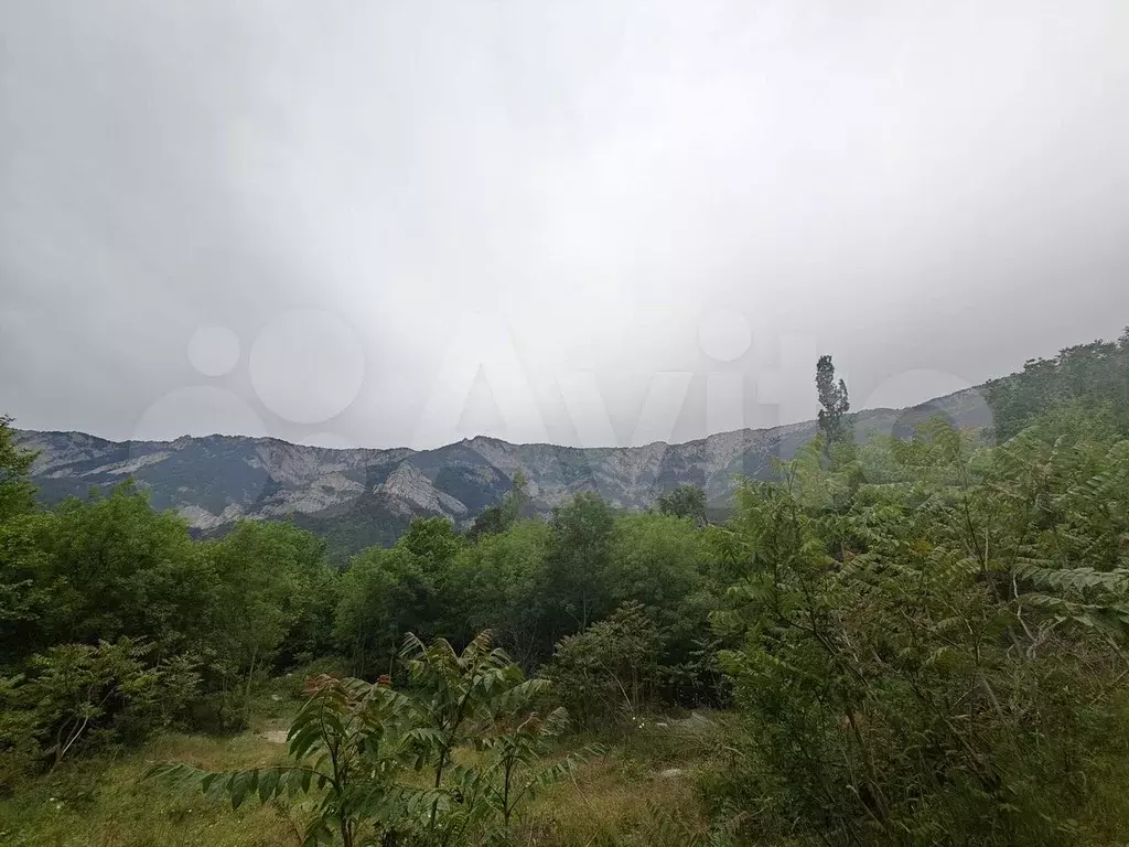 Участок 8 сот. (ИЖС) - Фото 0