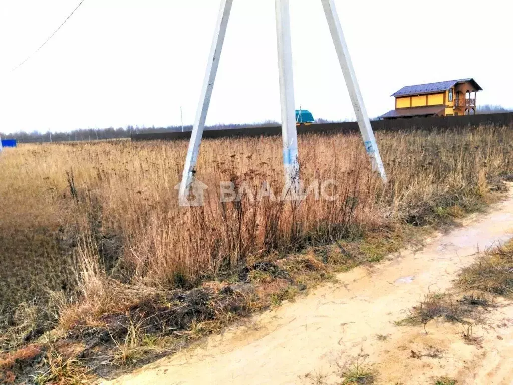 Участок в Московская область, муниципальный округ Шатура, деревня ... - Фото 1