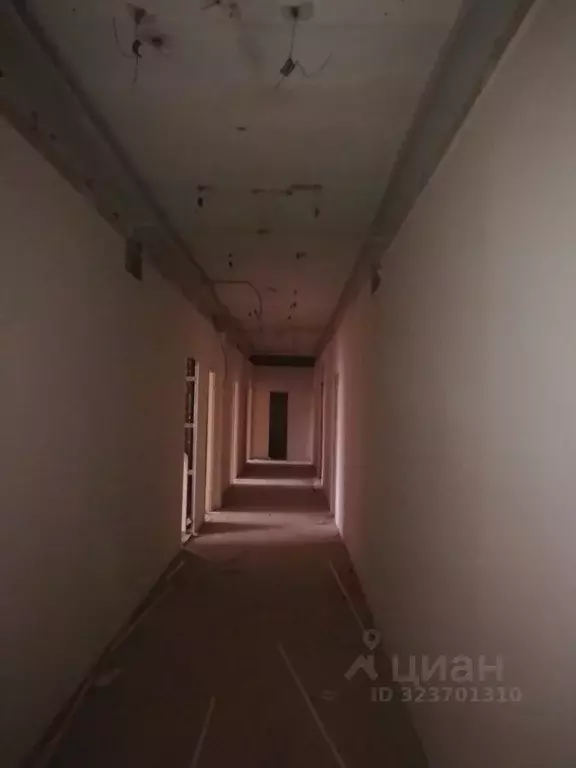 Помещение свободного назначения в Новосибирская область, Новосибирск ... - Фото 2