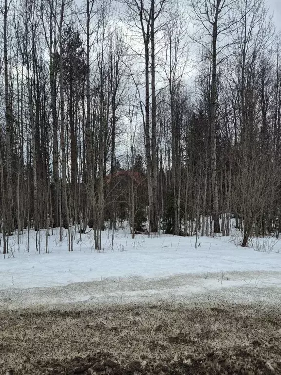 Участок в Архангельская область, Приморский муниципальный округ, д. ... - Фото 2