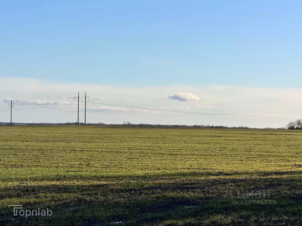 Участок в Калининградская область, Гурьевский муниципальный округ, ... - Фото 2