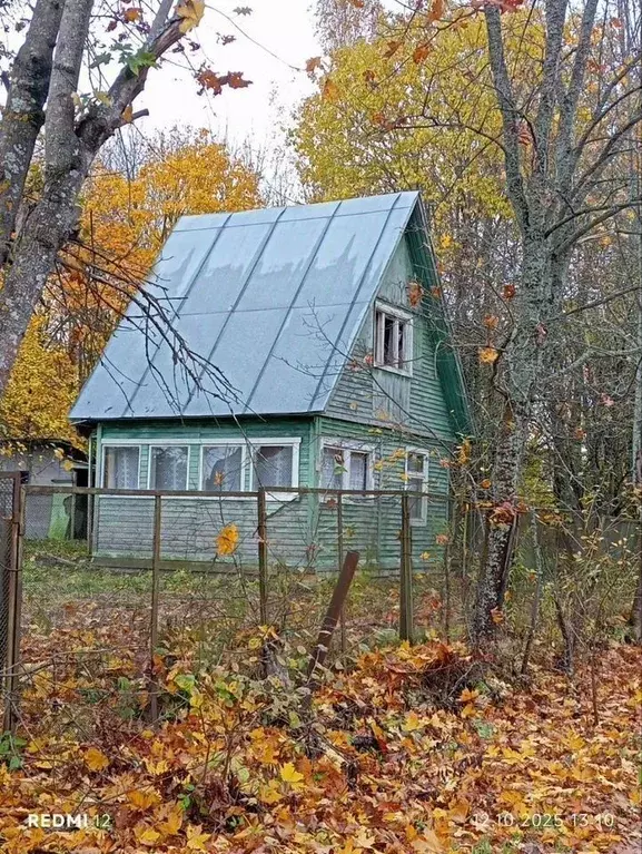 Дом в Владимирская область, Александровский муниципальный округ, ... - Фото 1