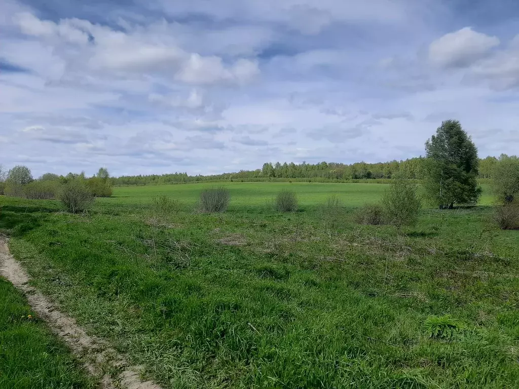 Участок в Ярославская область, Переславль-Залесский городской округ, ... - Фото 0