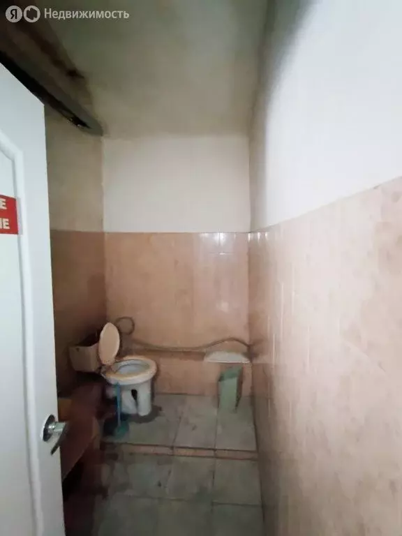 Помещение свободного назначения (181.4 м) - Фото 2