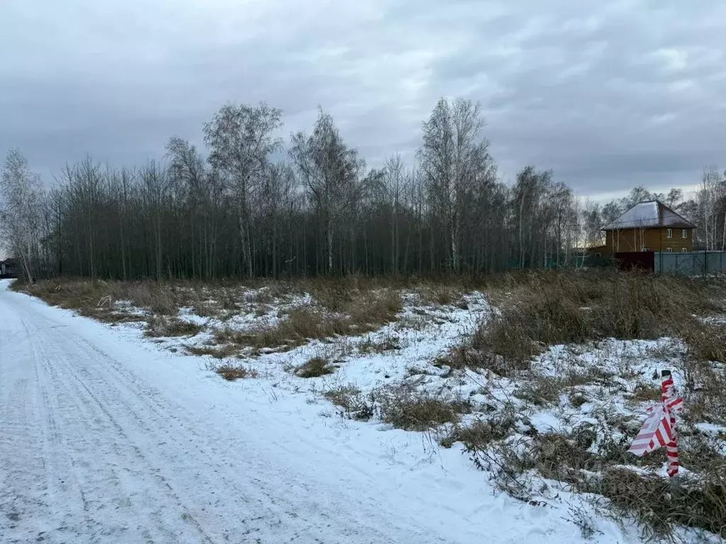 Участок в Красноярский край, Емельяновский муниципальный округ, пос. ... - Фото 1