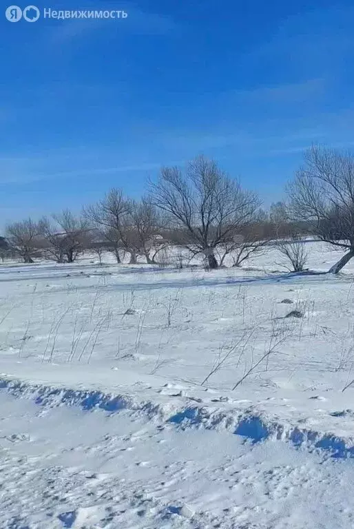 Участок в Советский район, село Шульгин Лог (15 м) - Фото 2
