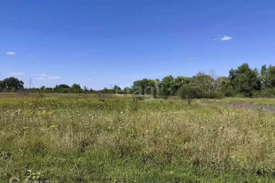 Участок в Воронежская область, Панино рп  (12.0 сот.) - Фото 0