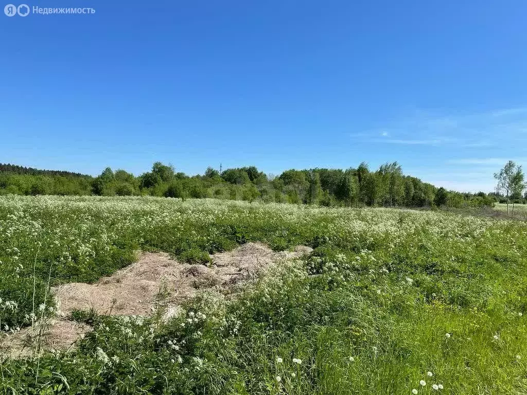 Участок в Череповецкий район, муниципальное образование Воскресенское, ... - Фото 0