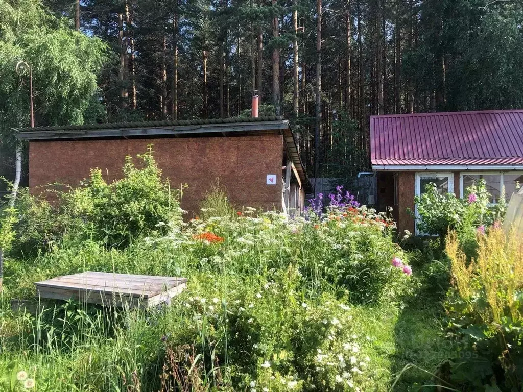 Участок в Свердловская область, Екатеринбург Луч СНТ, 21 (7.0 сот.) - Фото 1