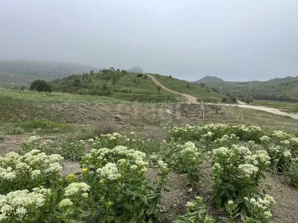 Участок в Крым, Феодосия муниципальный округ, Курортное пгт ул. ... - Фото 1