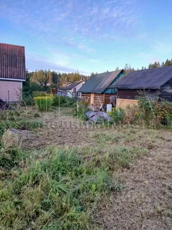 Участок в Ленинградская область, Выборгский район, Гончаровское с/пос, ... - Фото 2