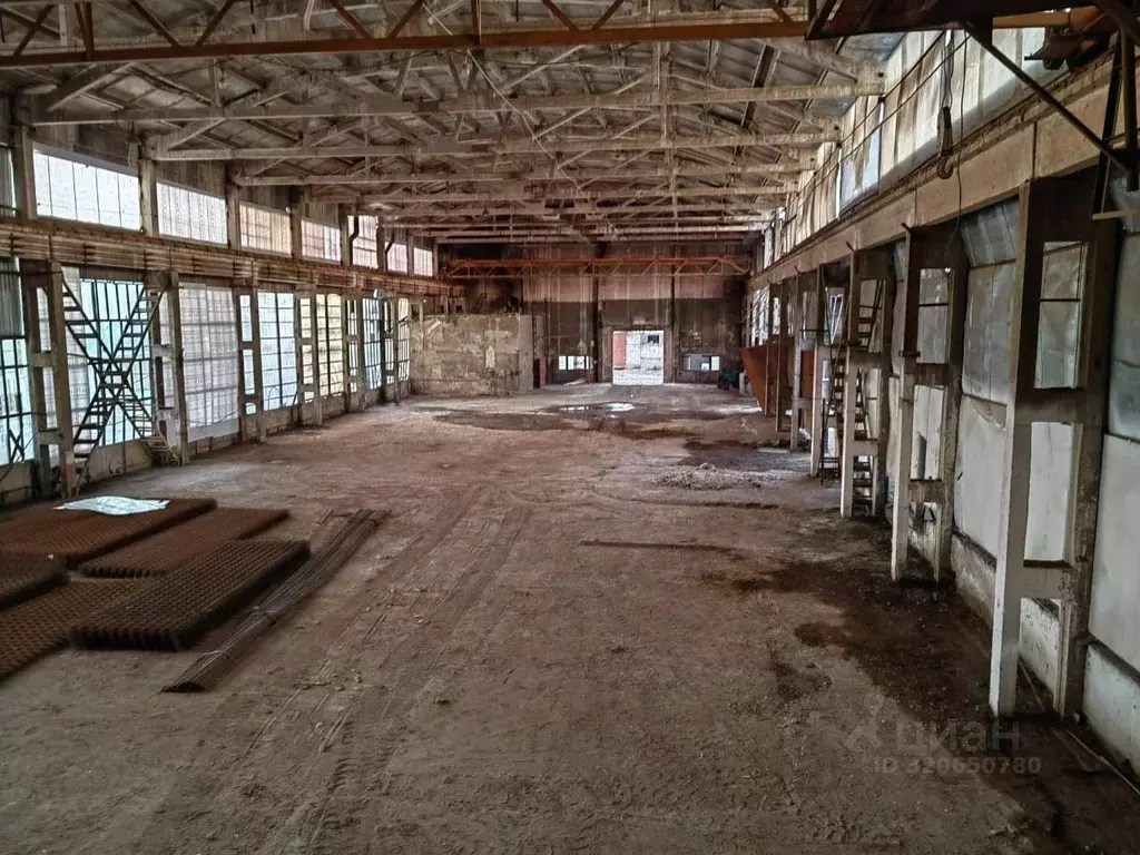 Производственное помещение в Московская область, Раменский ... - Фото 1