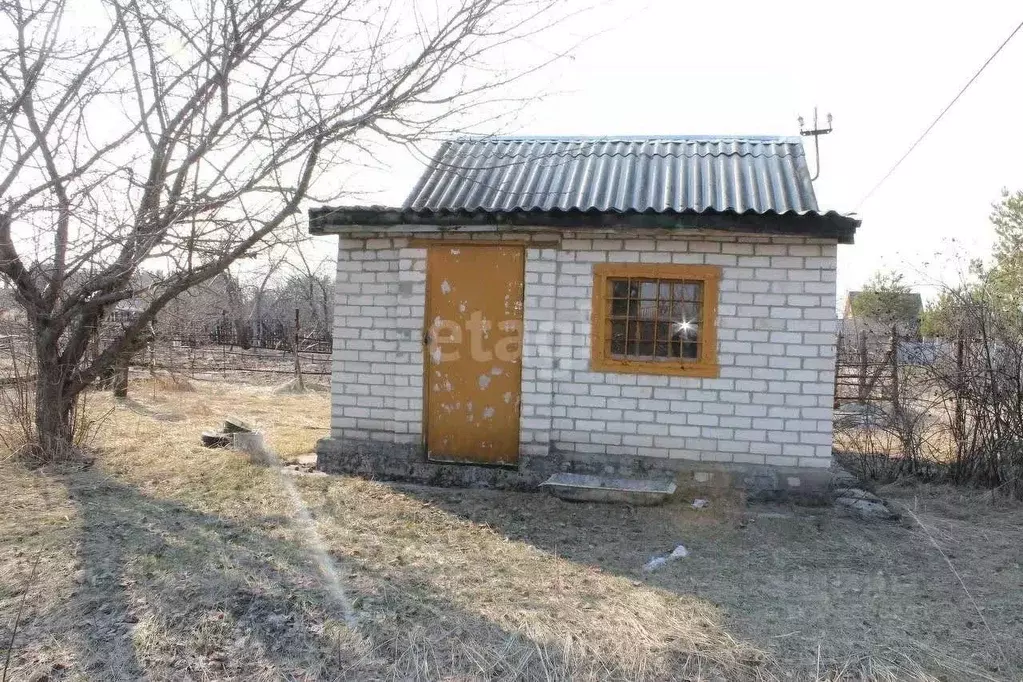 Дом в Воронежская область, Рамонский район, Новоживотинновское с/пос, ... - Фото 1