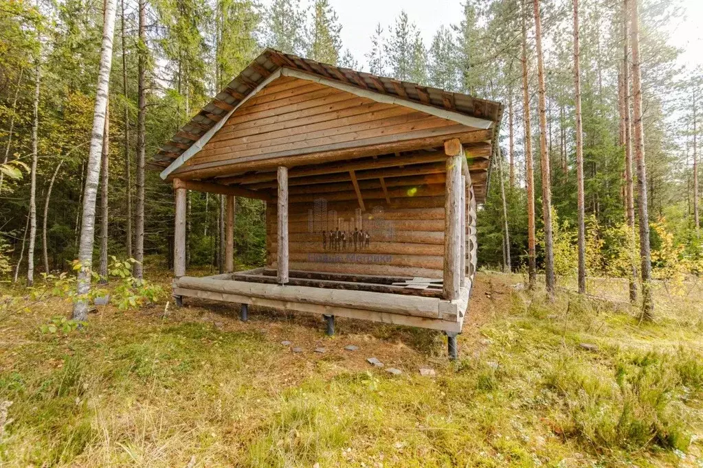 Участок в Ленинградская область, Всеволожский район, Агалатовское ... - Фото 1