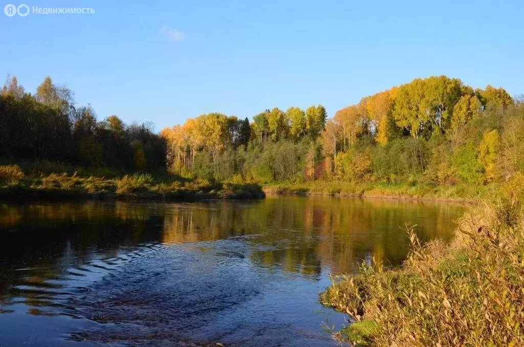 Дом в Хваловское сельское поселение, деревня Мелекса, 4А (81.12 м) - Фото 2