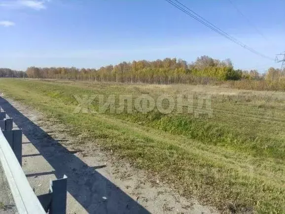 Участок в Новосибирская область, Мошковский район, с. Барлак ул. ... - Фото 1