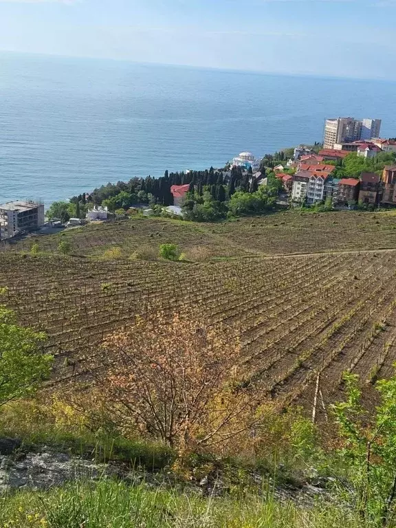 Участок в Крым, Алушта муниципальный округ, с. Лазурное ул. Слуцкого, ... - Фото 1