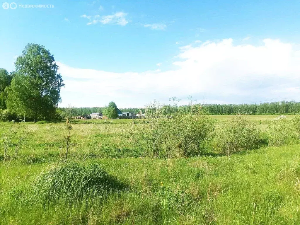 Участок в Свердловская область, Каменский муниципальный округ, деревня ... - Фото 1