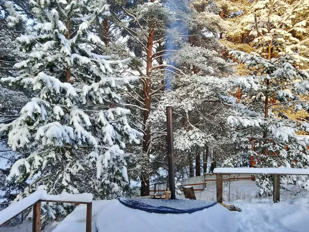 Дом в Тульская область, Алексинский район, с. Бунырево Приокская ул., ... - Фото 1