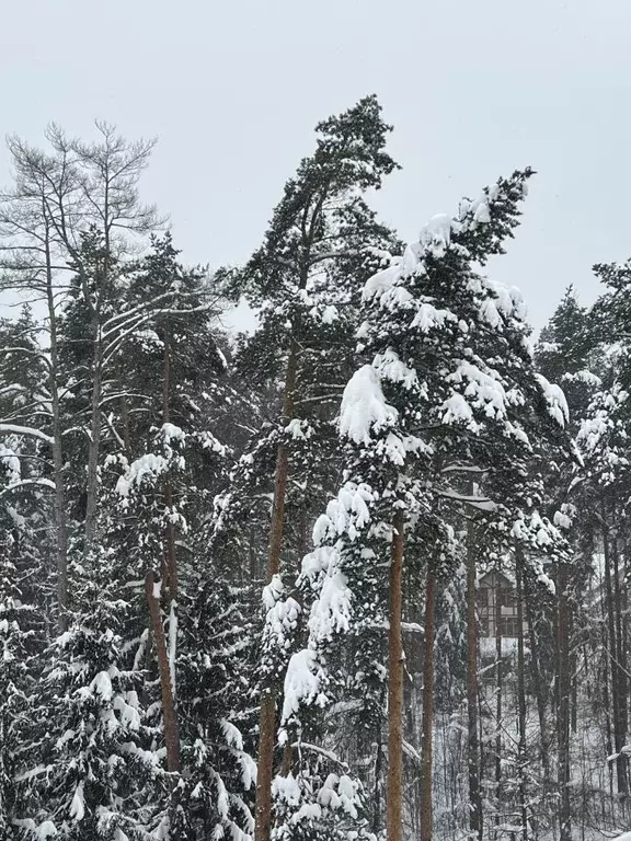 Дом в Московская область, Чехов муниципальный округ, д. Еськино 3/1 ... - Фото 1