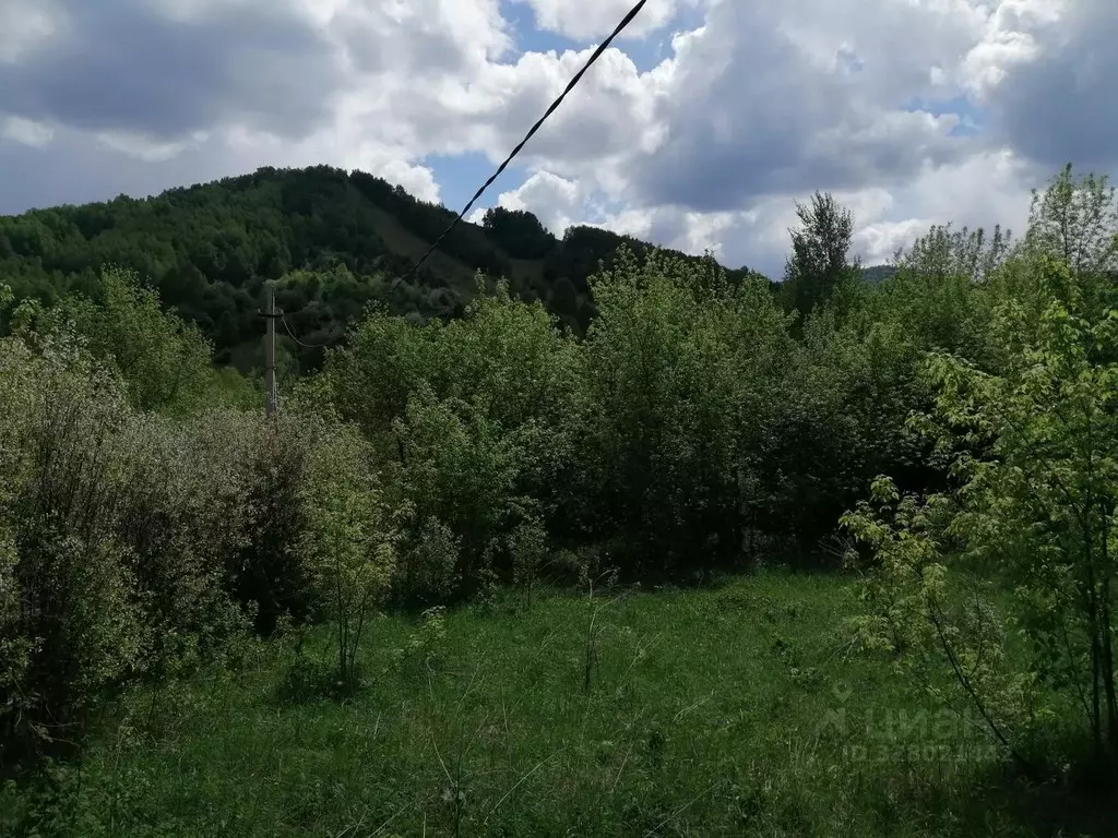 Участок в Алтайский край, Белокуриха ул. Академика Мясникова, 23 ... - Фото 1