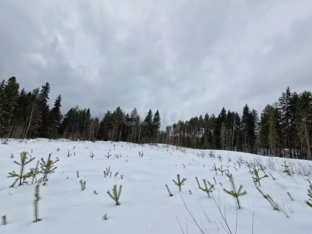 Участок в Коми, Корткеросский район, Додзь муниципальное образование, ... - Фото 2