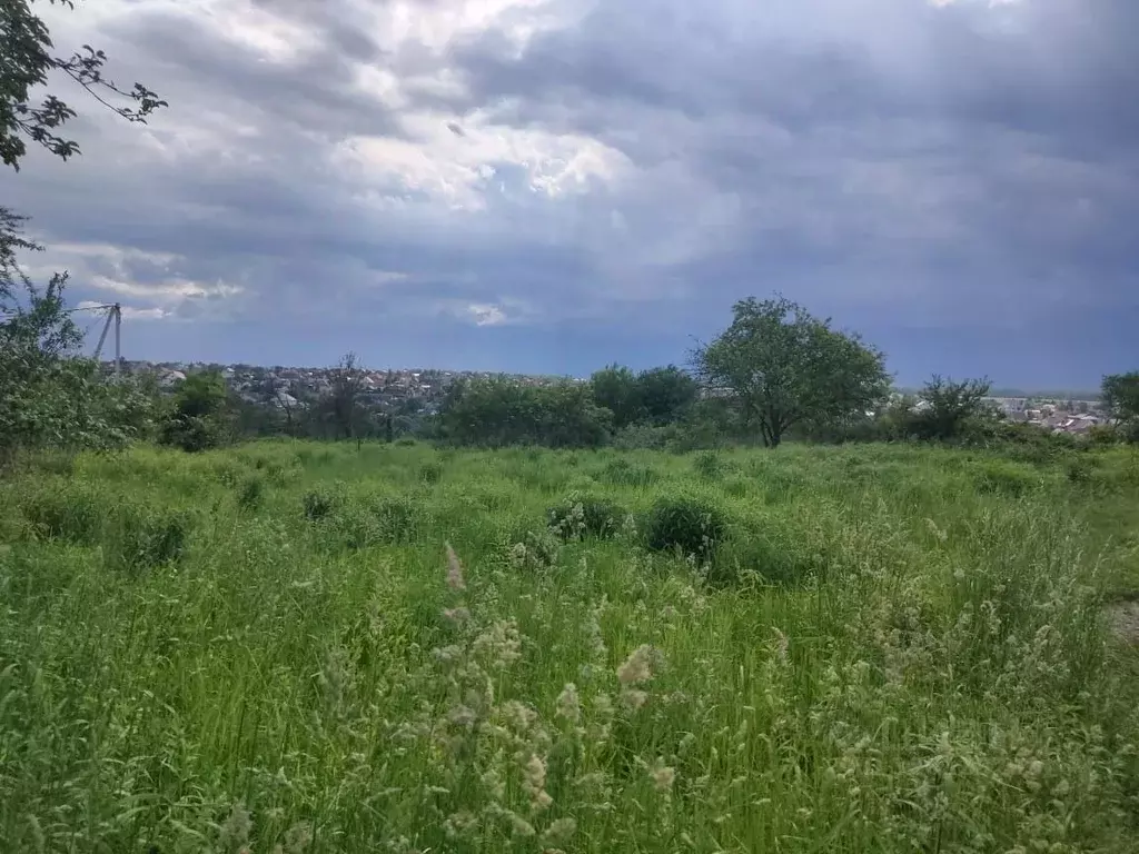 Участок в Брянская область, Брянский район, Снежское с/пос, пос. ... - Фото 1