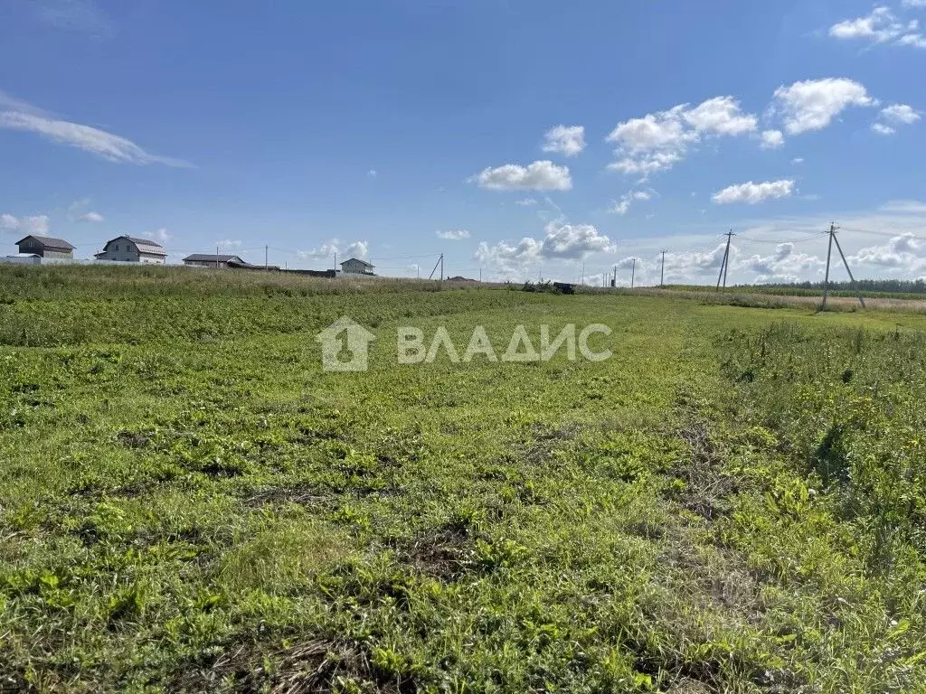 Участок в Владимирская область, Суздальский район, Павловское ... - Фото 1