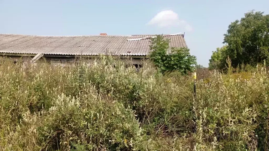 Помещение свободного назначения в Хабаровский край, Хабаровский район, ... - Фото 1