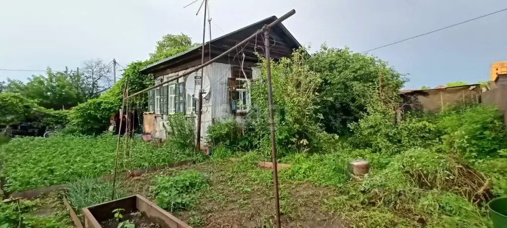 Дом в Амурская область, Благовещенск Конная ул., 170 (37 м) - Фото 1