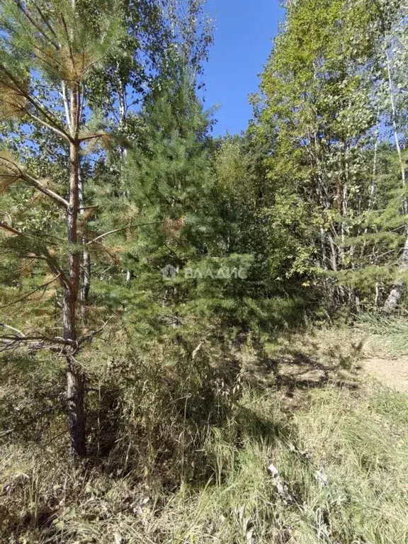 Участок в Калужская область, Калуга городской округ, д. Груздово 44 ... - Фото 2