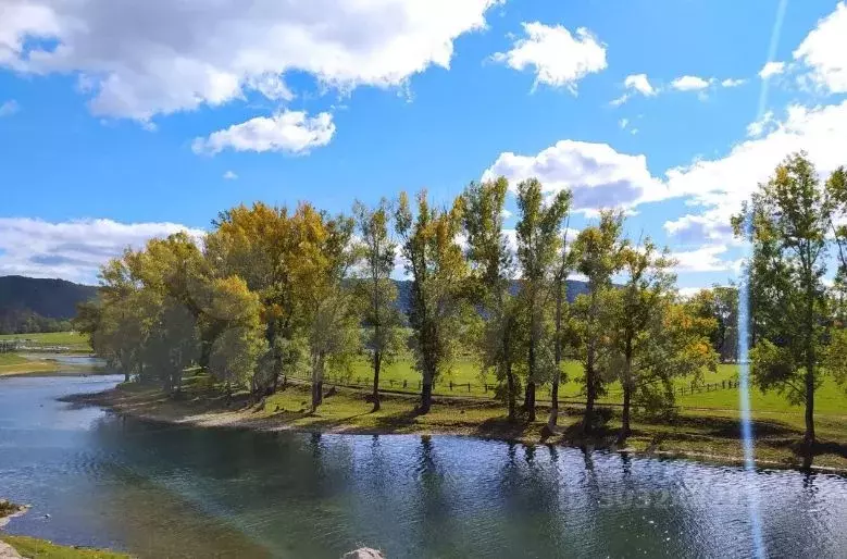 Участок в Башкортостан, Гафурийский район, с. Имендяшево ул. ... - Фото 1