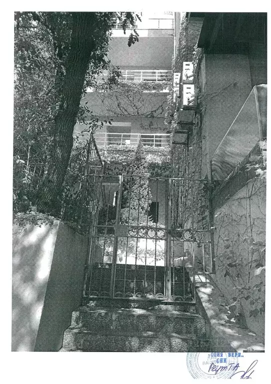 Помещение свободного назначения в Крым, Ялта муниципальный округ, ... - Фото 2