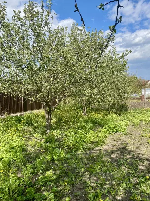 Дом в Орловская область, Мценск Октябрьский пер. (65 м) - Фото 0
