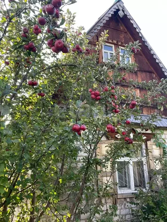Участок в Ишеевский сельсовет, садовые участки Урняк (6.23 м) - Фото 2
