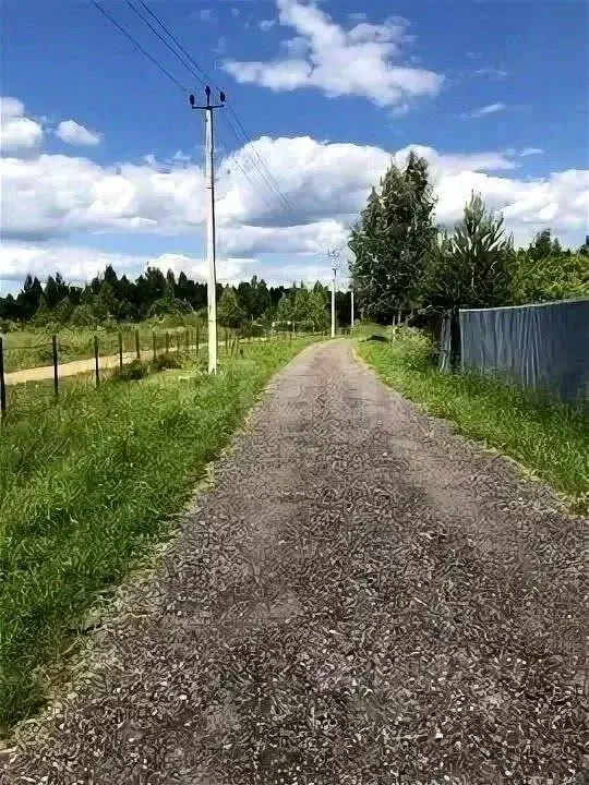 Участок в Ярославская область, Тутаевский муниципальный округ, ... - Фото 1