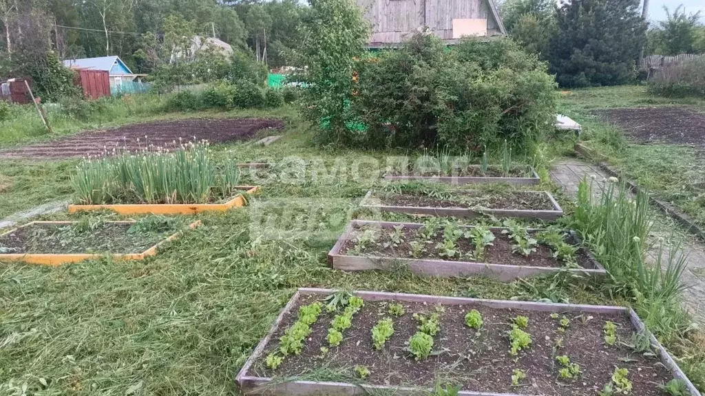 Дом в Хабаровский край, Комсомольск-на-Амуре АО АСЗ сад № 8 СНТ, ул. ... - Фото 1