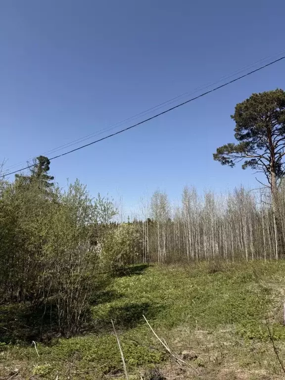 Участок в Томская область, Томск пос. Родионово, ул. Полянка, 2 (14.0 ... - Фото 1
