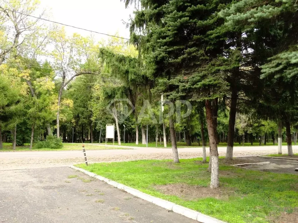 Офис (46.4 м) - Фото 0
