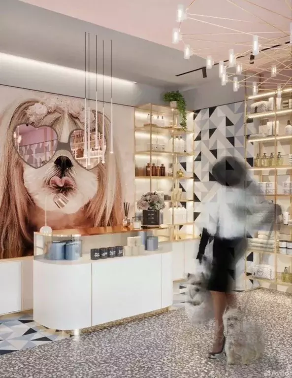 Помещение свободного назначения в Башкортостан, Уфа Коммунистическая ... - Фото 1