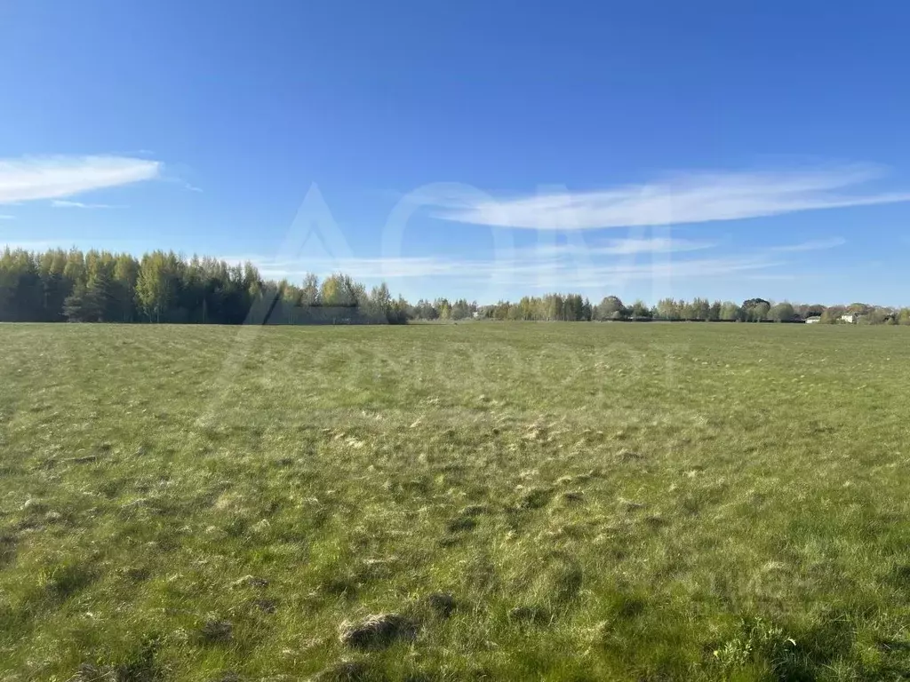 Участок в Ленинградская область, Кингисеппский район, Усть-Лужское ... - Фото 1