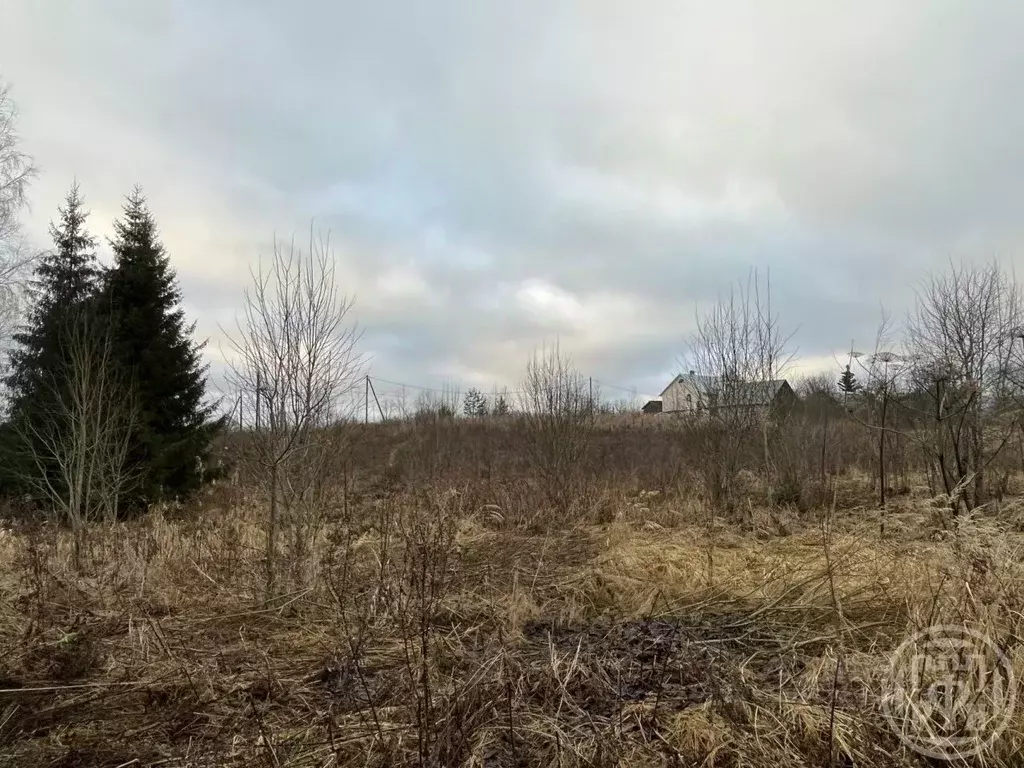 Участок в Ленинградская область, Лужский район, Володарское с/пос, д. ... - Фото 1