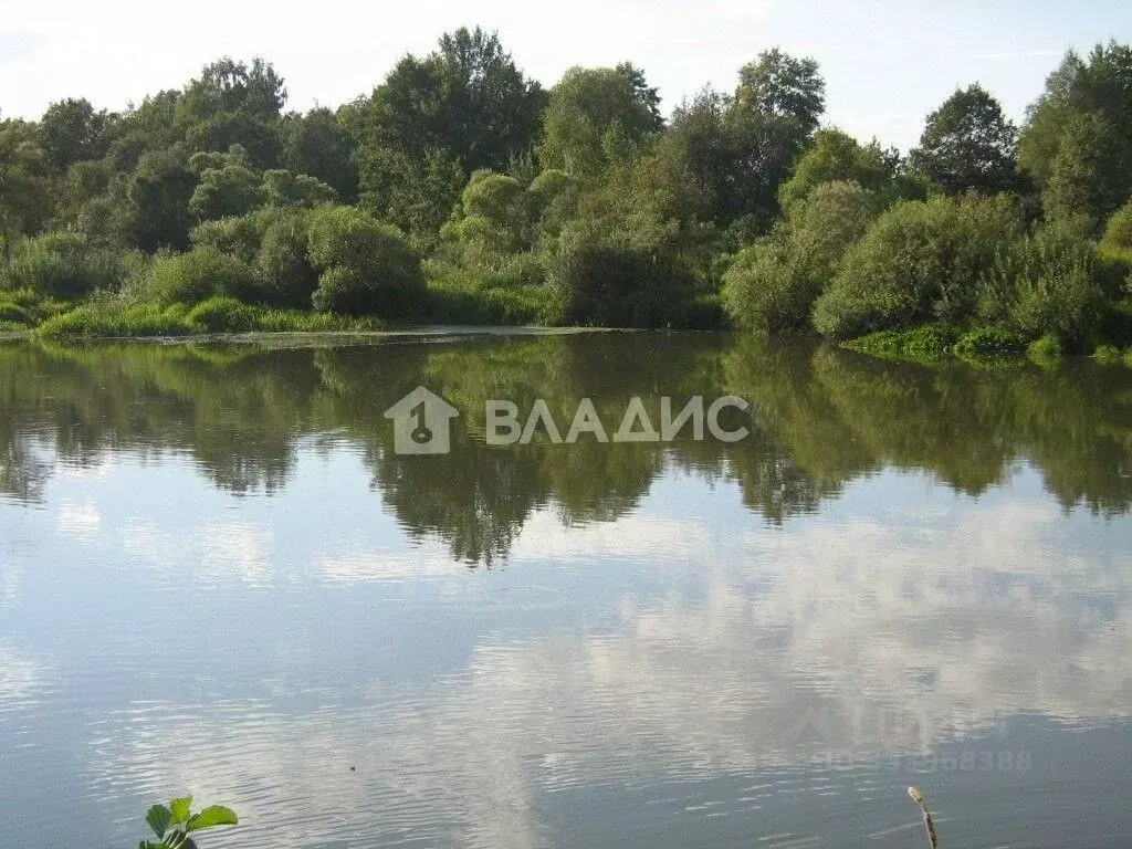 Дом в Калужская область, Думиничский муниципальный округ, Думиничи ... - Фото 2