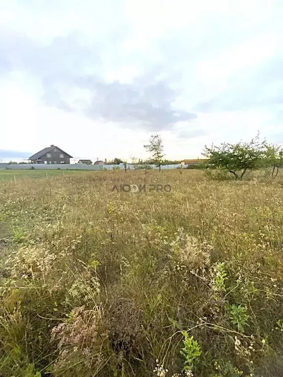 Участок в Саратовская область, Саратов Кумысная поляна СНТ, ул. Малая ... - Фото 1